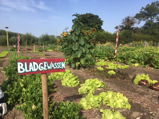 Werken aan een gezonde leefstijl bij de Kwekerij