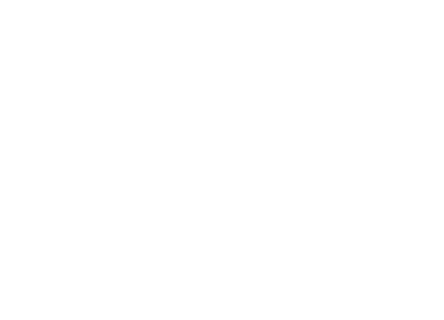 DZB Leiden